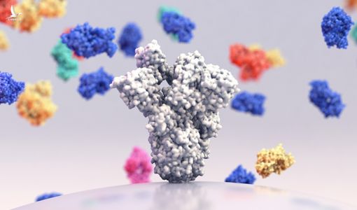 Tìm ra ‘siêu kháng thể’ vô hiệu hóa các chủng Covid-19