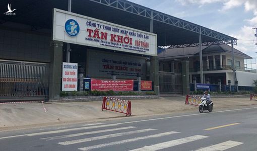 Có khoảng 1.300 F0, hàng ngàn F1 ở 2 công ty thủy sản