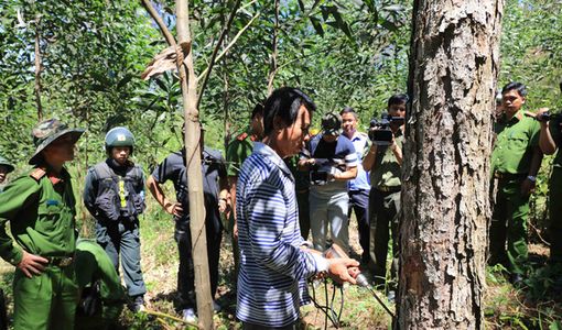 Lãnh đạo sở chỉ nhận ‘kiểm điểm rút kinh nghiệm’ khi để mất hơn 777ha rừng