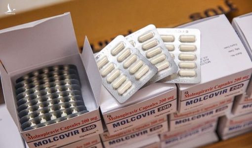 Quốc hội ra nhiều chính sách đặc biệt, cơ hội sản xuất diện rộng thuốc Molnupiravir