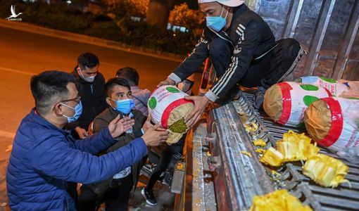 Người dân Hà Nội mua ‘giải cứu’ các container chở hàng chục tấn mít