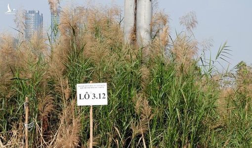 Tân Hoàng Minh xin “bỏ cọc” lô đất đấu giá ở Thủ Thiêm