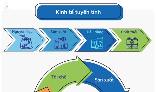 Kinh tế tuần hoàn: Nền tảng của sự phát triển bền vững hậu Covid-19