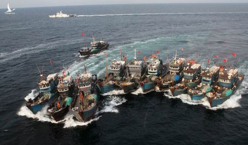 Báo động trước hoạt động các đội tàu cá Trung Quốc tại Biển Đông
