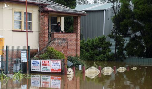 70.000 người ở Sydney đi sơ tán do lũ lụt, 19 người chết