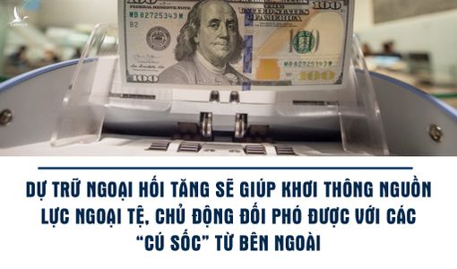 Dữ trữ ngoại hối Việt Nam đủ sức chống đỡ biến động thị trường