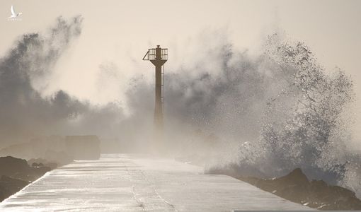 Nhật phát cảnh báo hiếm thấy về cơn bão “nguy hiểm nhất hành tinh”
