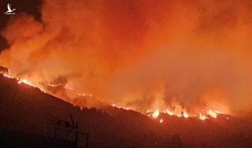 Thế giới 17/8: Cháy rừng lan rộng, Tây Ban Nha sơ tán khẩn cấp nhiều làng mạc