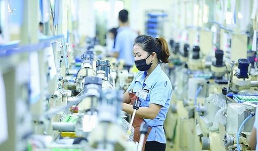 “Việt Nam sẽ đạt đỉnh cao mới trong năm Rồng”