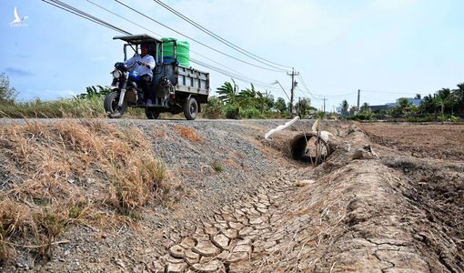 Tiền Giang vừa công bố tình huống khẩn cấp về hạn mặn, thiếu nước ngọt