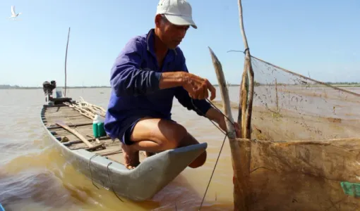 Lũ miền Tây đang lên nhanh, khả năng lên trên mức báo động 1