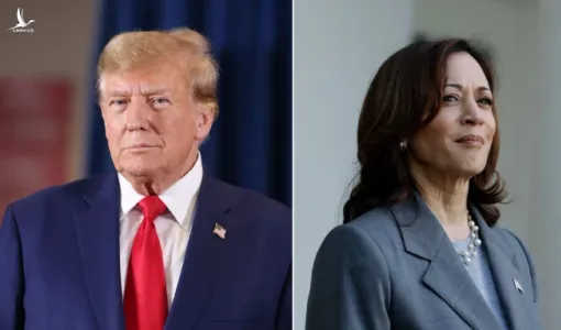 Ông Trump và bà Harris đều không giành được đa số phiếu đại cử tri để chiến thắng thì quy định xử lý ra sao?