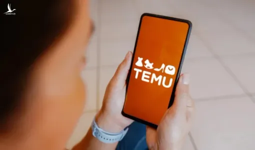 Temu tạm dừng hoạt động ở Việt Nam