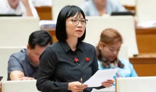 Đại biểu Quốc hội lên tiếng về vụ hoa hậu Thùy Tiên bị bắt