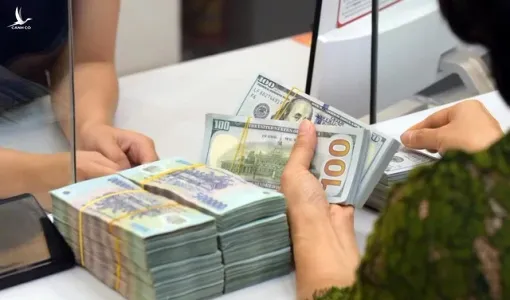 Cơ quan thuế đã rà soát 164.661 người nộp thuế bán hàng qua thương mại điện tử, truy thu 747 tỷ đồng