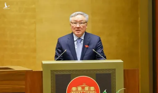Kiên quyết chống buôn lậu, hàng giả: Phó Thủ tướng nói không với vùng cấm