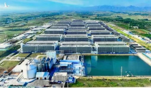 Doanh nghiệp Việt Nam đề xuất xây chung cư cao tầng nuôi heo