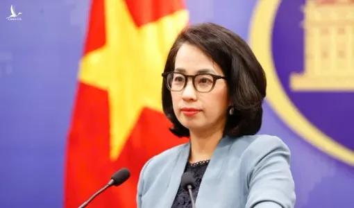 Thỏa thuận thương mại Việt – Mỹ: Bộ Ngoại giao nói gì?
