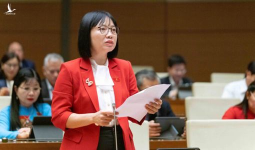 Viên chức ‘chân trong, chân ngoài’: Có nên vừa làm lãnh đạo vừa làm giám đốc