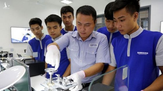 45 trường đại học bị đề nghị dừng tuyển sinh hệ cao đẳng