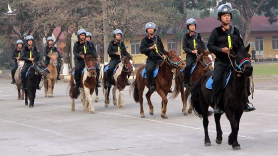 Hơn 100 con ngựa Mông Cổ được cảnh sát cơ động thuần dưỡng
