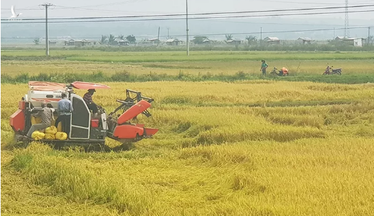 Trở lại vĩ tuyến 17