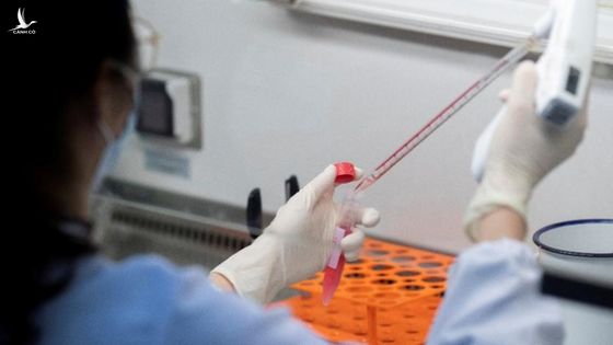 Phát hiện chủng virus cúm mới ở Trung Quốc có thể gây đại dịch