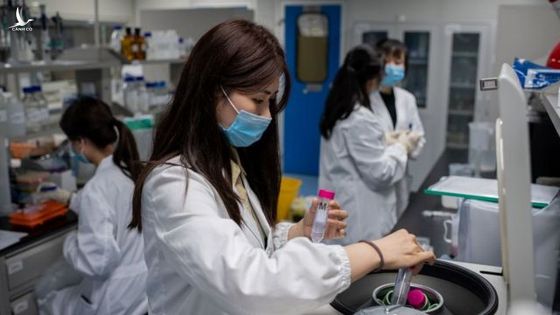 Reuters: Việt Nam sẽ tự sản xuất vaccine Pfizer