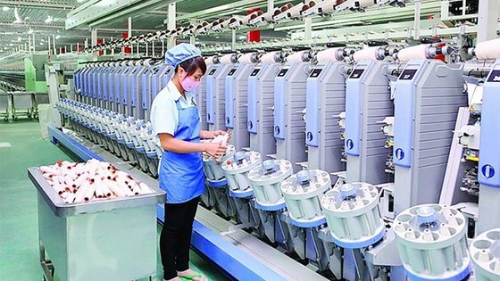 Ngành dệt may vực dậy trong đại dịch nhờ động lực từ các FTA