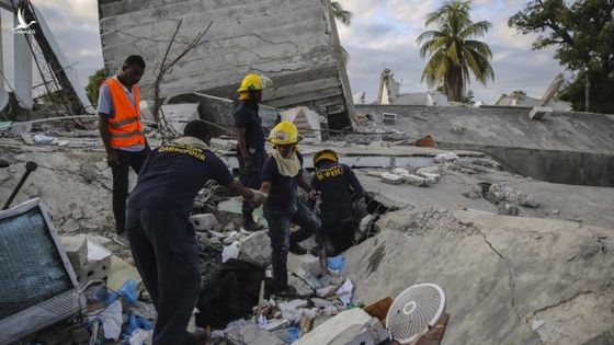 Gần 1.300 người thiệt mạng sau trận động đất kinh hoàng ở Haiti