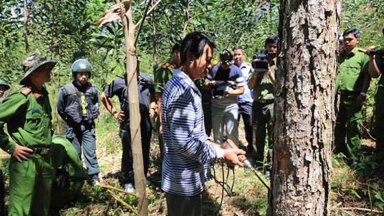 Lãnh đạo sở chỉ nhận ‘kiểm điểm rút kinh nghiệm’ khi để mất hơn 777ha rừng