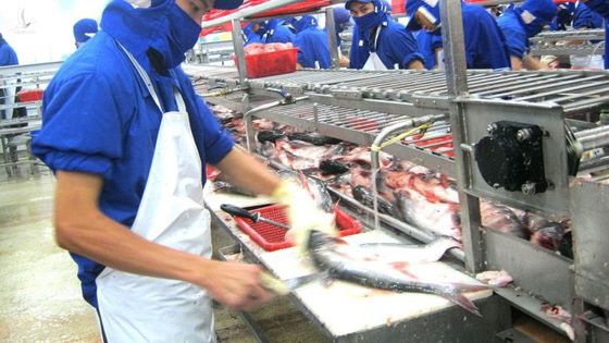Trung Quốc tăng nhập thủy sản Việt Nam dù theo đuổi chính sách zero-Covid
