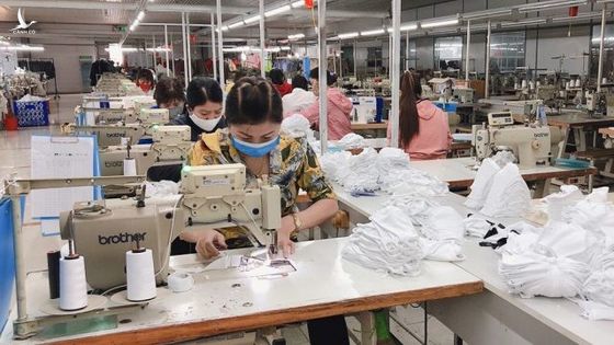 Doanh nghiệp Việt được “tiếp sức” ra sao trước khủng hoảng tiền tệ thế giới?