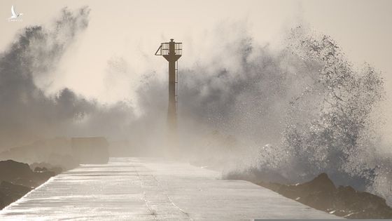 Nhật phát cảnh báo hiếm thấy về cơn bão “nguy hiểm nhất hành tinh”