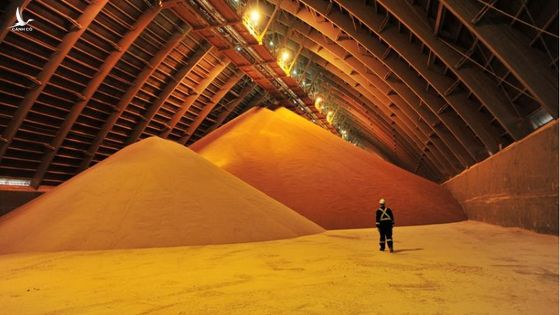 “Mỏ vàng” bị lãng quên được đào lại ngay giữa cơn sốt