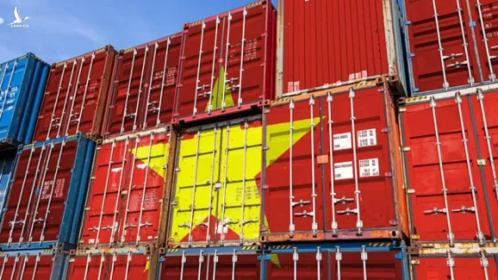 Hàng loạt “đại bàng” Trung Quốc ùn ùn chuyển sang Việt Nam xây tổ