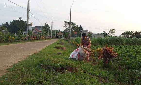 Cô giáo làm chuyện ít người biết lúc rạng sáng suốt hai năm qua