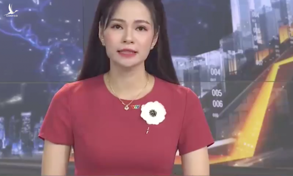 VTV xin lỗi vì nói người bán hàng rong là ‘sống ký sinh trùng’