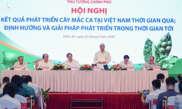 Thủ tướng Nguyễn Xuân Phúc nêu hàng loạt vấn đề về trồng và tiêu thụ mắc ca