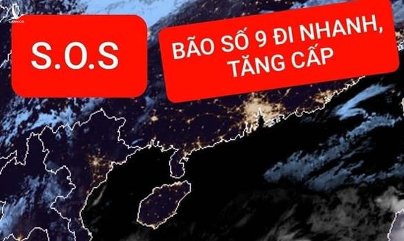 Chuyên gia cảnh báo khẩn cấp về mức thảm họa của cơn bão mạnh nhất năm – số 9