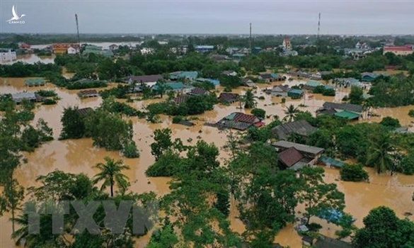 Rừng đầu nguồn sông Bến Hải bị phá: Vì sao chưa tổ chức, cá nhân nào bị kỷ luật?