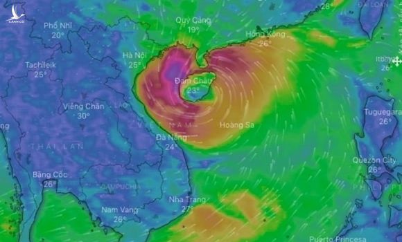 Tin bão mới nhất: Bão số 8 di chuyển rất nhanh, cách Hà Tĩnh khoảng 400km