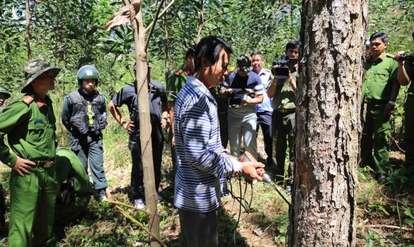 Lãnh đạo sở chỉ nhận ‘kiểm điểm rút kinh nghiệm’ khi để mất hơn 777ha rừng