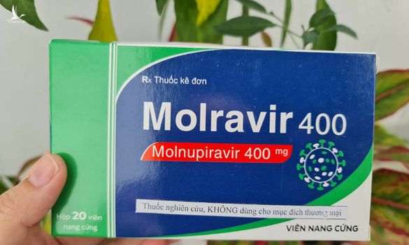 Giá bán dự kiến vào khoảng 300.000 đồng một hộp Molnupiravir