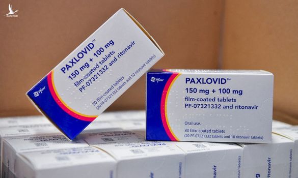 Việt Nam được quyền sản xuất thuốc viên trị Covid-19 của Pfizer