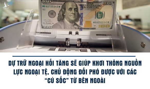 Dữ trữ ngoại hối Việt Nam đủ sức chống đỡ biến động thị trường