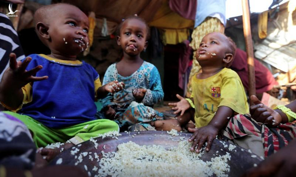 Hàng triệu trẻ em trên thế giới thiếu ăn