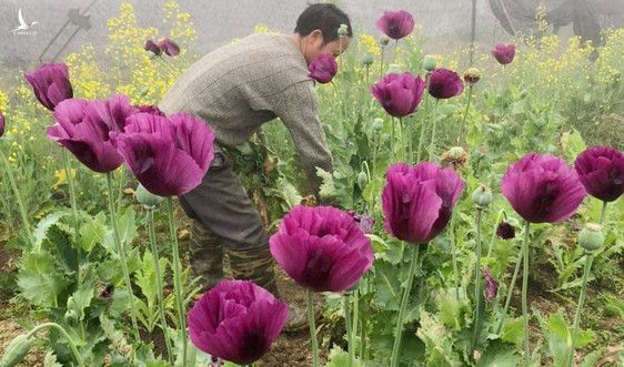 Bóng ma làm loạn xã hội, cản trở sự phát triển của đất nước