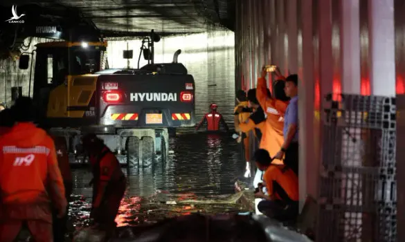 Thảm họa kinh hoàng trong hầm đường bộ ở Hàn Quốc