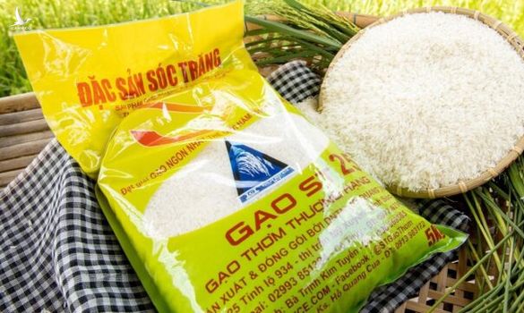 Việt Nam nắm quyền chủ động, giá gạo xuất khẩu có thể đạt 1.000 USD/tấn